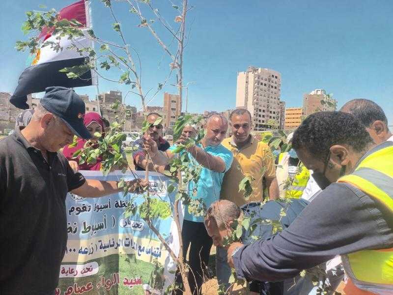محافظ أسيوط: حملات تشجير ونظافة وتوعية بمنطقة الوليدية وقناطر أسيوط الجديدة بحي شرق