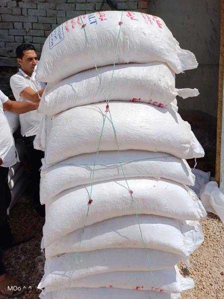 صحة الدقهلية تشن حملات تفتيشية على 241 منشأة
