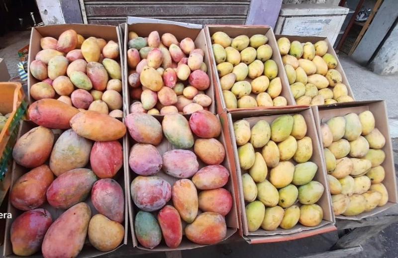 الغرفة التجارية بالدقهلية: استقرار أسعار الخضر والفاكهة وتراجع المانجو بالأسواق