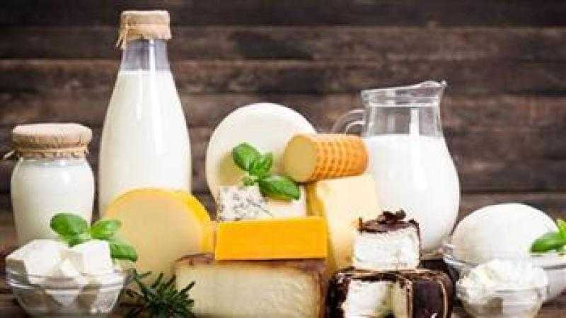ارتفاع صادرات مصر وإطلاق الإستراتيجية الوطنية للملكية الفكرية.. أهم حصاد الزراعة خلال أسبوع
