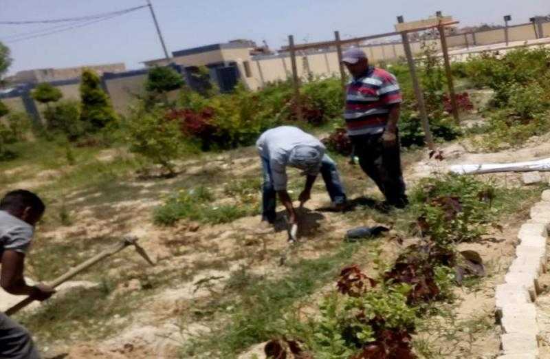 نقيب المعلمين يغرس الأشجار المثمرة بمدارس أسوان