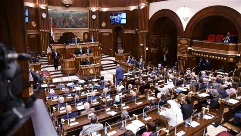 وكيل «الشيوخ» يدعو أعضاء المجلس بتقديم مقترحاتهم بشأن تشكيل اللجان النوعية