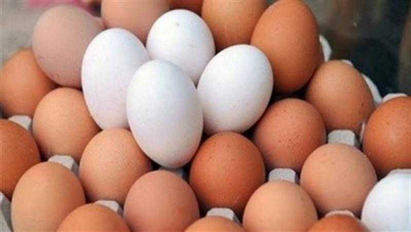 تعرف على سعر كرتونة البيض اليوم الخميس