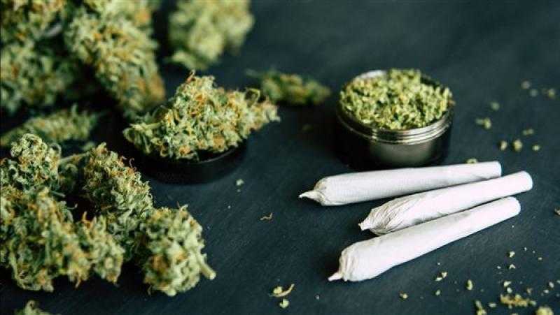بايدن يعفو عن الجرائم الفيدرالية المتعلقة بحيازة الماريجوانا