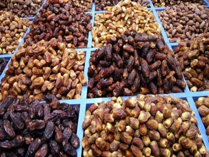 ”الزراعة في أسبوع”.. الاستعداد لمهرجان التمور واستقبال وفد الفاو وحملات على المسطحات المائية|صور
