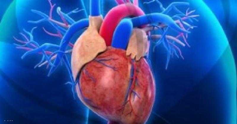 أمل جديد للمرضى.. دراسة تكشف عن علاج بسيط لعضلة القلب