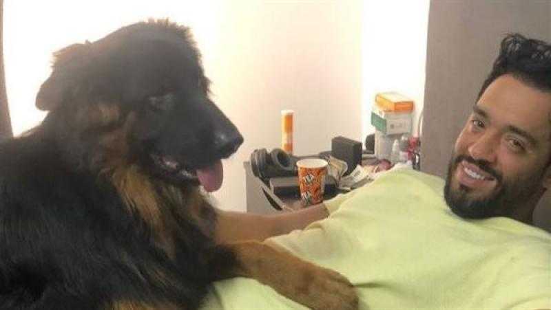 ”بقالي فترة تعبان”.. رامي جمال يكشف تفاصيل تعرضه لوعكه صحية