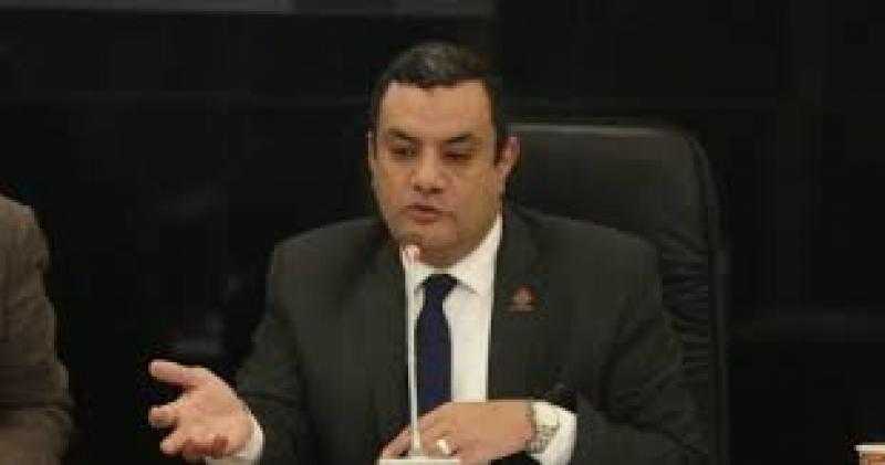 عضو بـ«الشيوخ» يرفض مشروع قانون إنشاء المجلس الأعلى لصناعة السيارات لهذا السبب