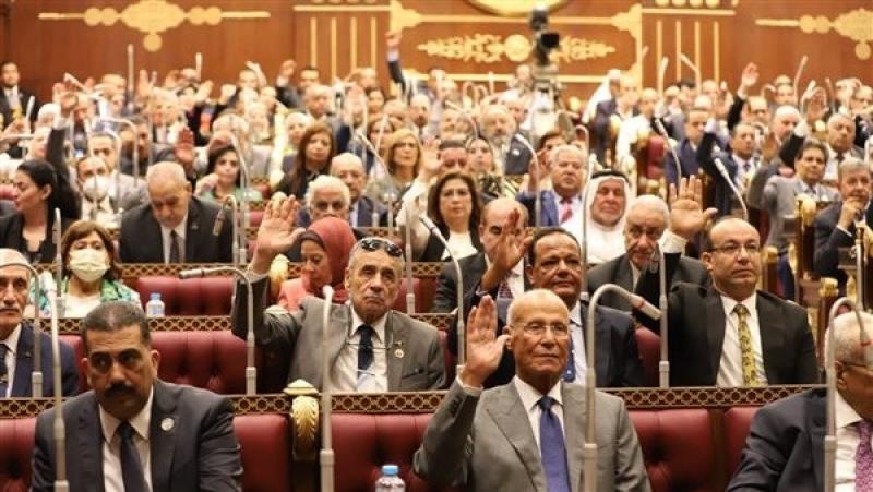 رفع الجلسة العامة لـ«الشيوخ» بعد الموافقة المبدئية على مشروع قانون إنشاء «الأعلى لصناعة السيارات»