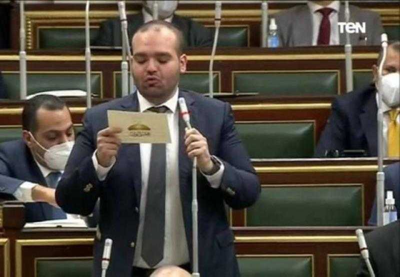 برلماني: حفظ قضايا التمويل الأجنبي خطوة لدفع وتعزيز الملف الحقوقي