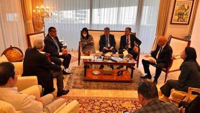 كوريا الجنوبية تدرس ضخ استثمارات جديدة في المشروعات التنموية المصرية.. صور