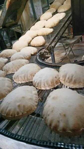 محافظ الدقهلية يحيل 171 محضرا بالمخالفات في مجال المخابز والأسواق للنيابة العامة