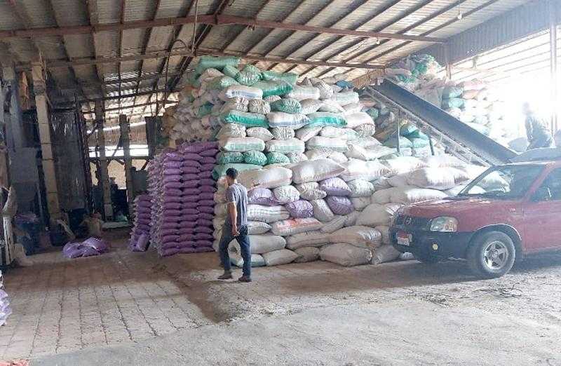 توريد 20581 طن أرز شعير بكفر الشيخ