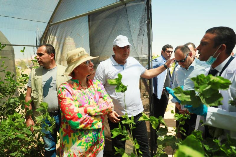 وزير التنمية المحلية يهنئ محافظ الوادي الجديد بفوز مدينة الخارجة بـ ”عاصمة البيئة العربية في عام 2022”