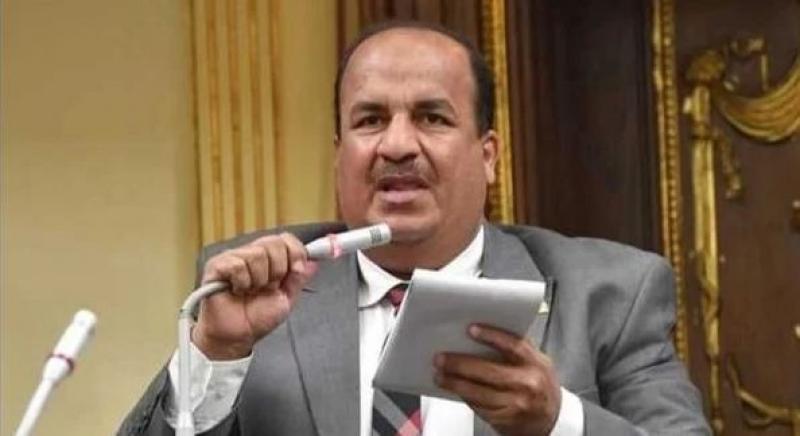 برلماني: افتتاح مصنع الرمال السوداء دليل على اهتمام القيادة السياسية بالصناعات الاستراتيجية