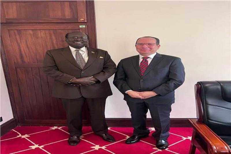 جنوب السودان تعرب عن تقديرها لجهود مصر في تنظيم مؤتمر المناخ COP27