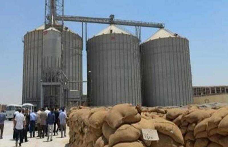 شون البحيرة تستقبل 50 ألف طن أرز شعير