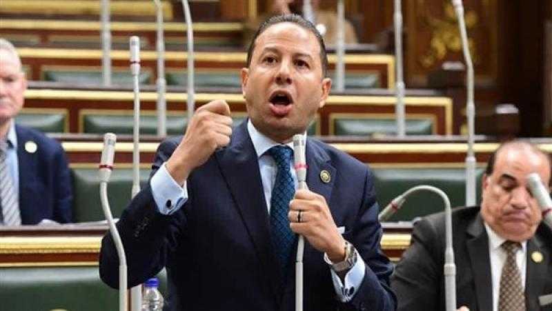 برلماني: تصريحات صندوق النقد عن الاقتصاد المصري شهادة ثقة وحافز للاستثمار