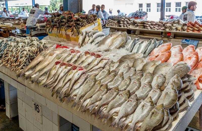 سعر السمك في السوق اليوم الأحد.. البلطي ينخفض 3 جنيهات