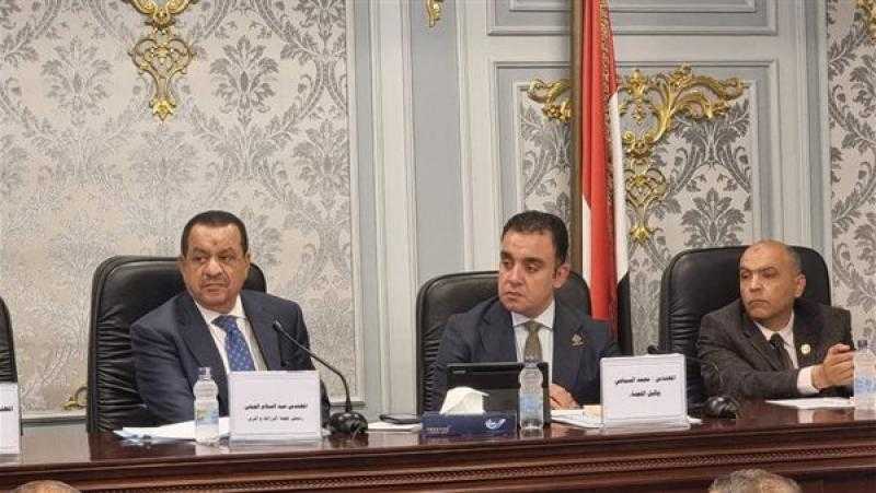 التنمية الزراعية لـ”الشيوخ”: زراعة 450 ألف فدان قمح بتوشكى العام المقبل
