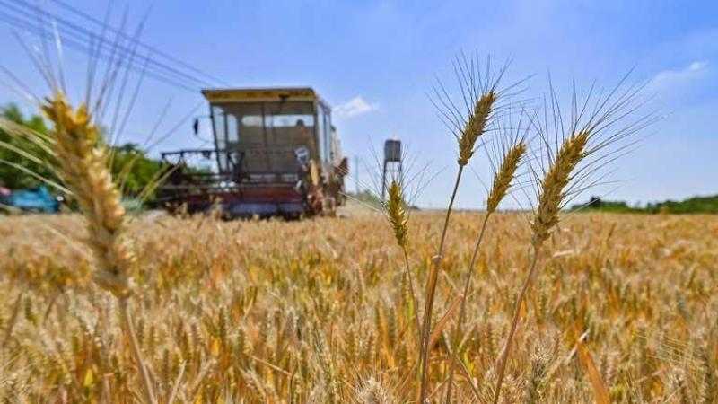 روسيا تعلن مساعدتها للدول الإفريقية في أزمة الحبوب