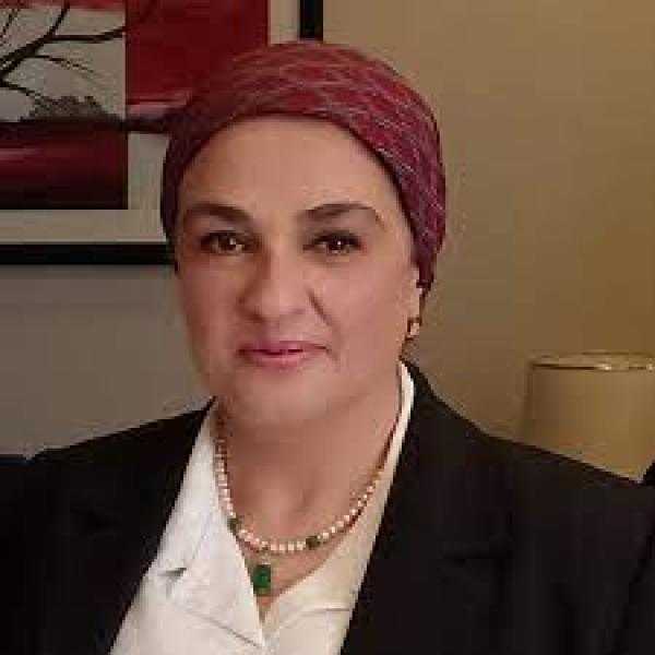 تخطيط النواب توافق على إنشاء مدرسة للتعليم التجاري والصناعي بسرس الليان بالمنوفية
