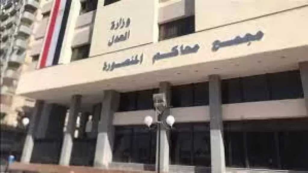 جنايات المنصورة تقضى بالسجن المشدد لمتهمين هشموا رأس عامل بالدقهلية