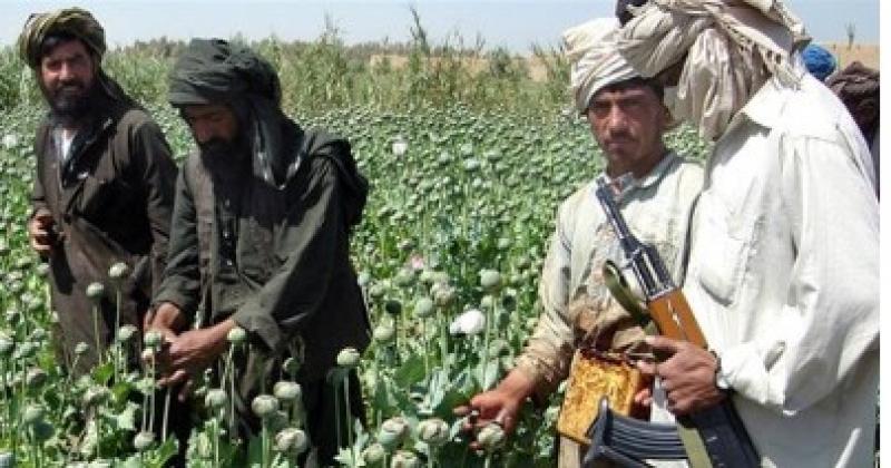 %32 زيادة عن العام الماضي.. أفغانستان تقع في مصيدة اقتصاد الأفيون