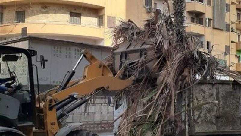 تكثيف أعمال النظافة والتجميل في الشرقية.. صور