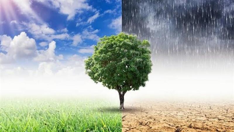 المنصة المحلية للتغيرات المناخية بأسوان تعقد ندوات توعوية بقضايا المناخ