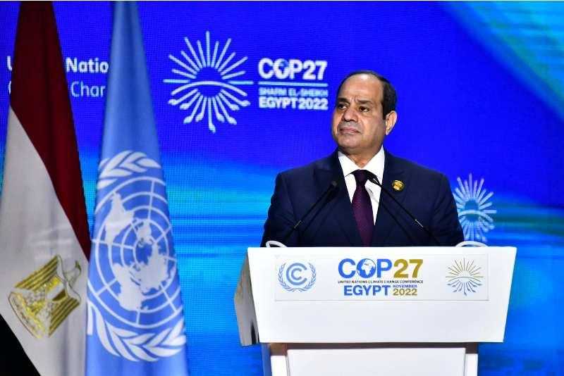 نقيب البيطريين مشيدا بدعوة الرئيس لإنهاء حرب روسيا وأوكرانيا: المبادرة الأهم