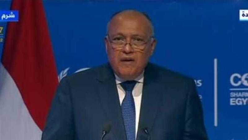 وزير الخارجية: العالم لديه ثقة في مصر وقدرتها على خلق المناخ التوافقي