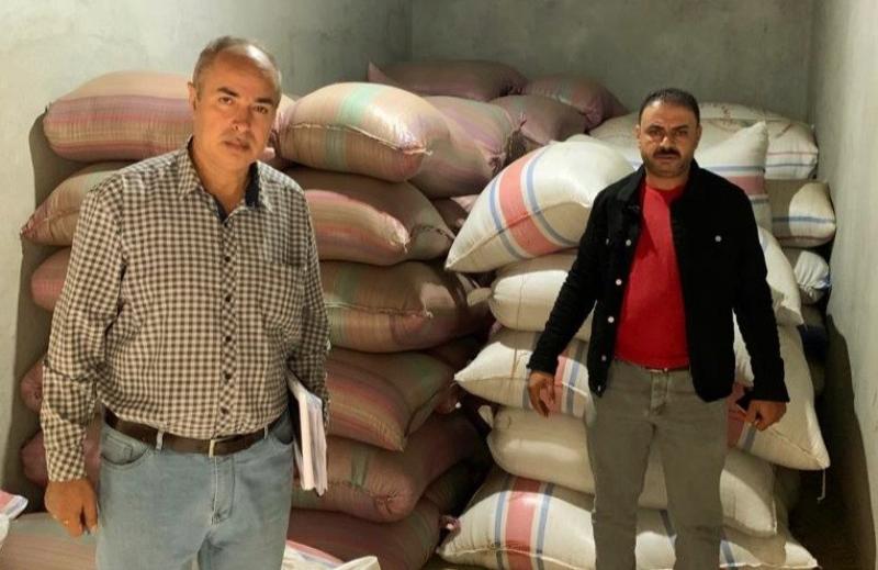 مصادرة 15 طن أرز شعير جمعها تجار في محافظة الغربية