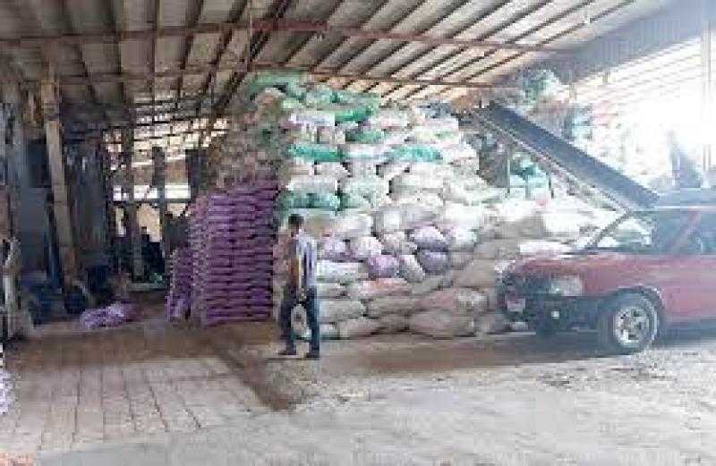 تواصل عمليات توريد الأرز الشعير بكفر الشيخ