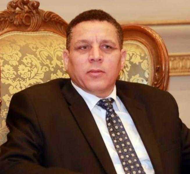 أحمد محسن: بيان البرلمان الأوروبي عن حقوق الإنسان في مصر ابتزاز وضغوط مفضوحة