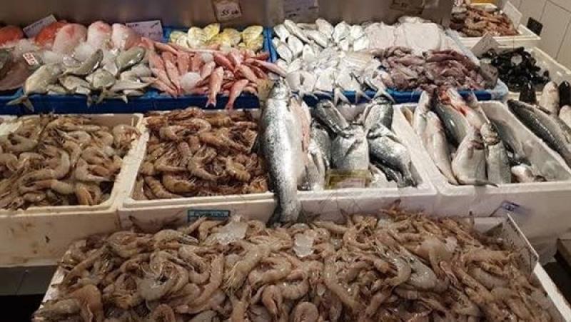 البلطي بـ 33 جنيهاً.. أسعار السمك اليوم في الأسواق
