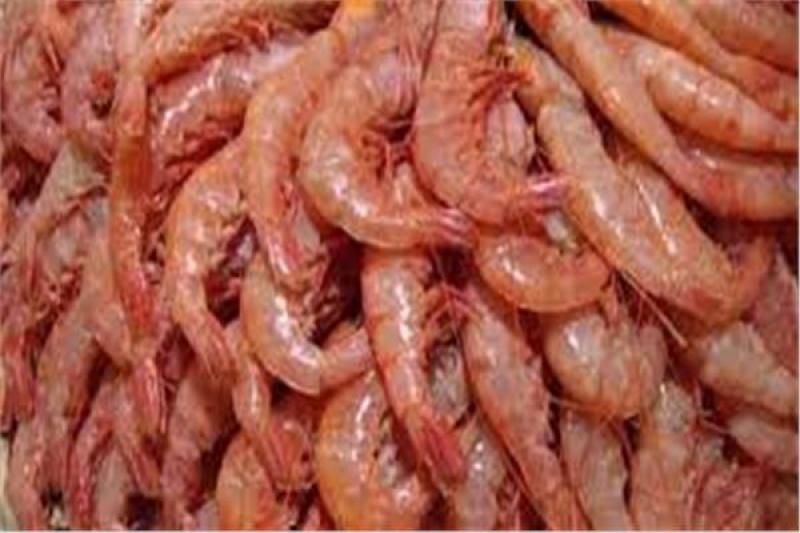 ارشيفية 