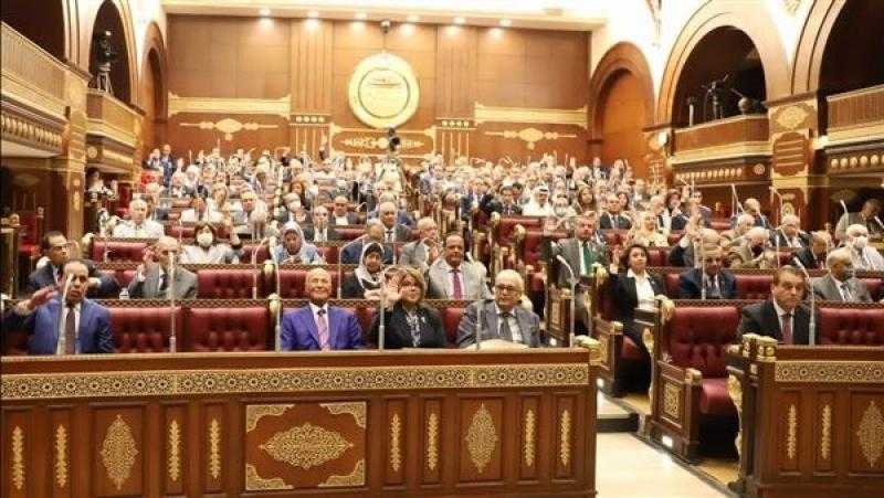 تحسين المناخ الاسثتمارى وتشيجع الاستثمار الأجنبى أمام اللجنة الاقتصادية