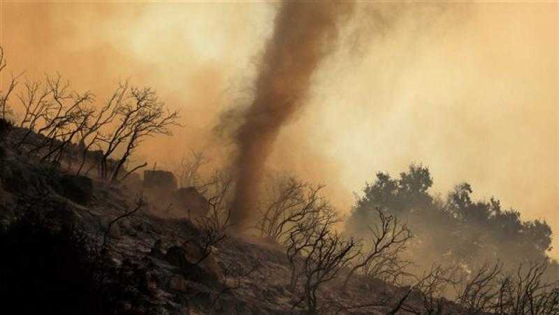 الأمم المتحدة: التنوع البيولوجي يسهم في خفض انبعاثات غازات الاحتباس الحراري