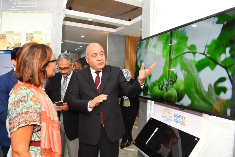 محافظ قنا يستعرض لمنظمة الفاو أهمية الزراعة بدون تربة | صور