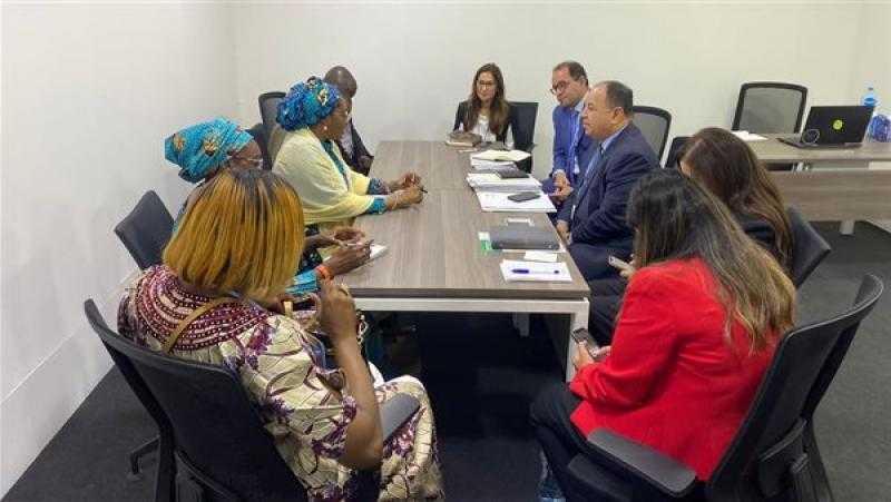 وزير المالية يؤكد ضرورة تبني الأولويات الإفريقية لمكافحة التغير المناخي