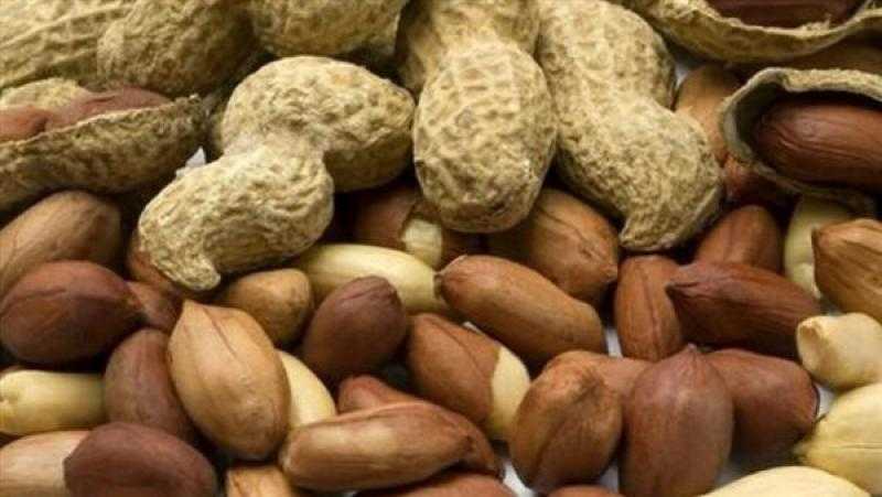 «الحبوب الزيتية»: تشكيل مجلس الأعمال المصري السوداني يزيد الاستثمار
