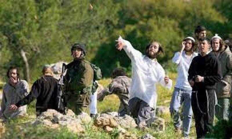 إصابة فلسطينيين إثر اعتداء للمستوطنين في مدينة الخليل