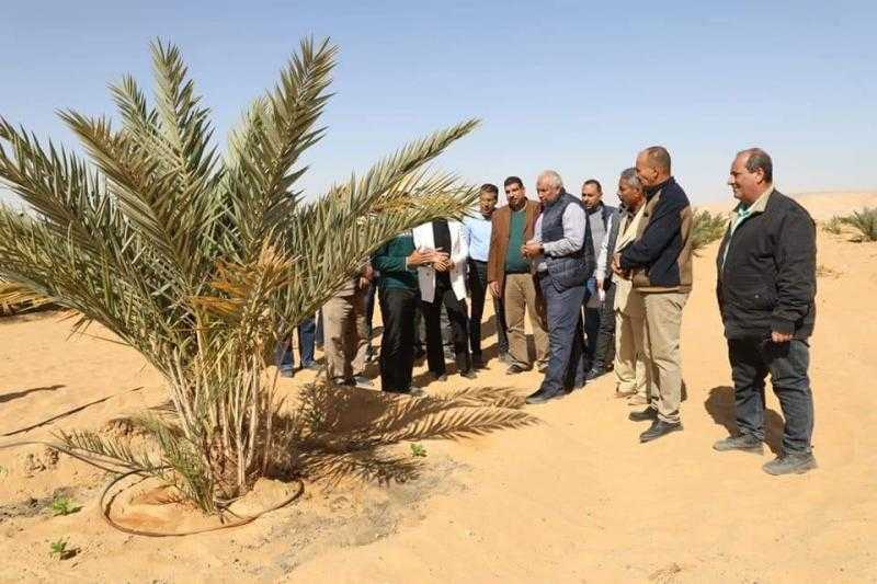 محافظ الوادي الجديد يتفقد مشروعات الاستثمار الزراعي بأبو منقار بالفرافرة | صور