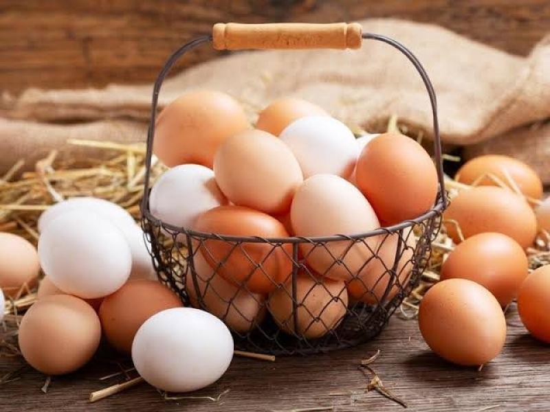 أسعار البيض اليوم السبت 26 نوفمبر 2022