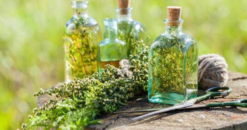 احمي ذاكرتك من النسيان بالأعشاب الطبيعية