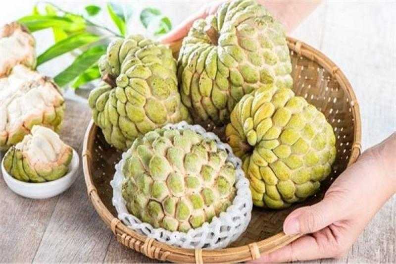 تعرف على أهمية فاكهة القشطة