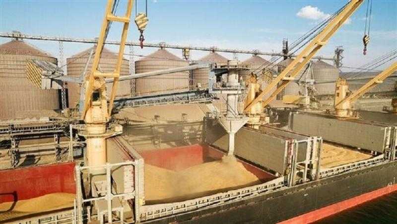 روسيا تنفي إبطاء عمليات تفتيش سفن الحبوب الأوكرانية