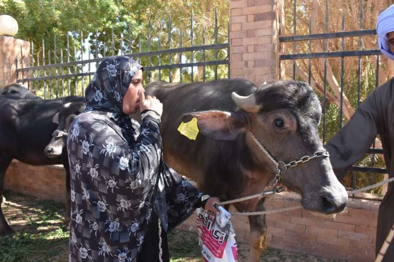 جانب من مبادرة التوزيع