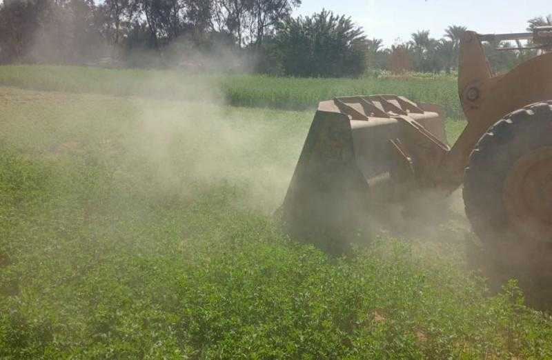 إزالة تعديات من المحلة الكبرى وصيانة إنارة في طنطا ورفع قمامة الغربية